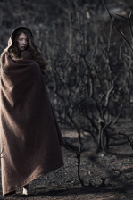 Through The Ashes #1